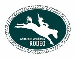 2024 Rodeo Logo